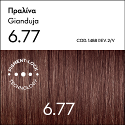 Βαφή Μαλλιών 6.77 Argan Oil Advanced Colorant 6.77 Πραλίνα