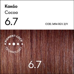 Argan Oil Advanced Colorant 6.7 Κακάο 